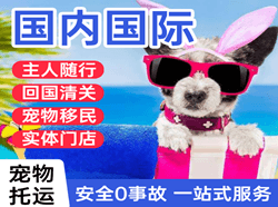 巴中恩阳航空物流国际宠物托运 【国